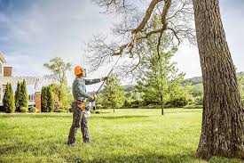 Best Commercial Tree Services  in Pearland, TX
